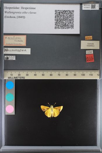 Media type: image;   Entomology 198477